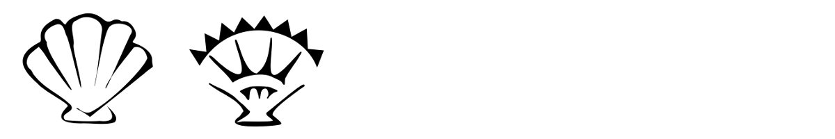 Bivalve shells tattoo motifs