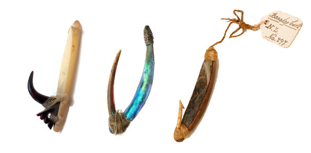 Polynesian traditional fish hooks from museum collections