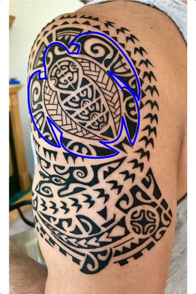 Polynesian tattoo turtle representing family