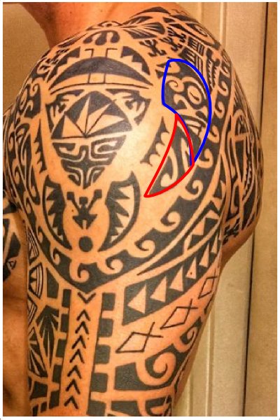 Polynesian tattoo symbol enata representing family