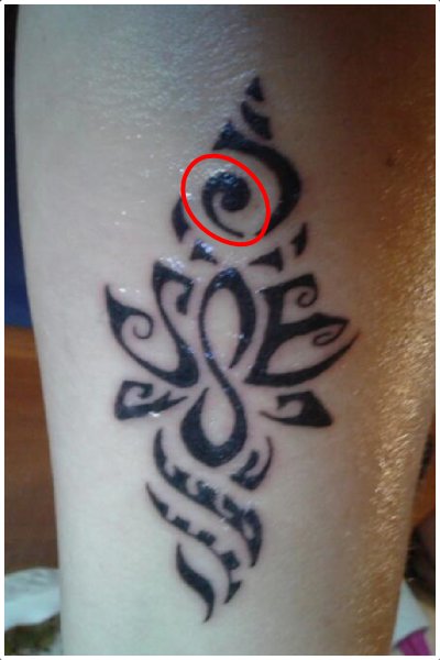 Polynesian tattoo symbol koru representing life