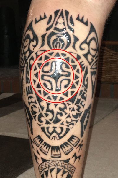 Double row of shark teeth pattern