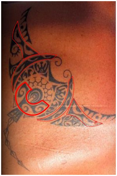 Back manta tattoo