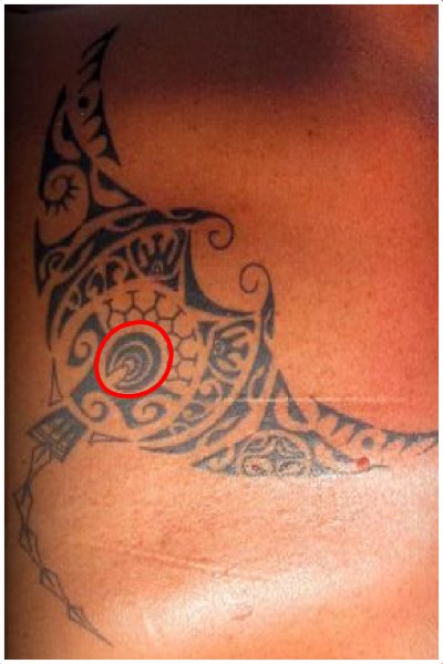 Polynesian tattoo pattern ipu