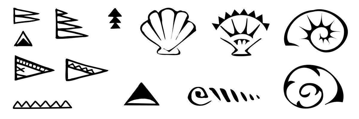 seashells tattoo symbol details