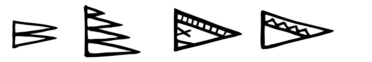 Trochus shells tattoo motifs